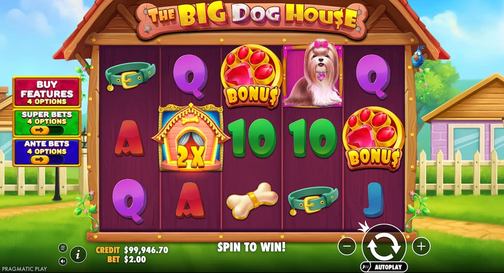 the-big-dog-house-peli